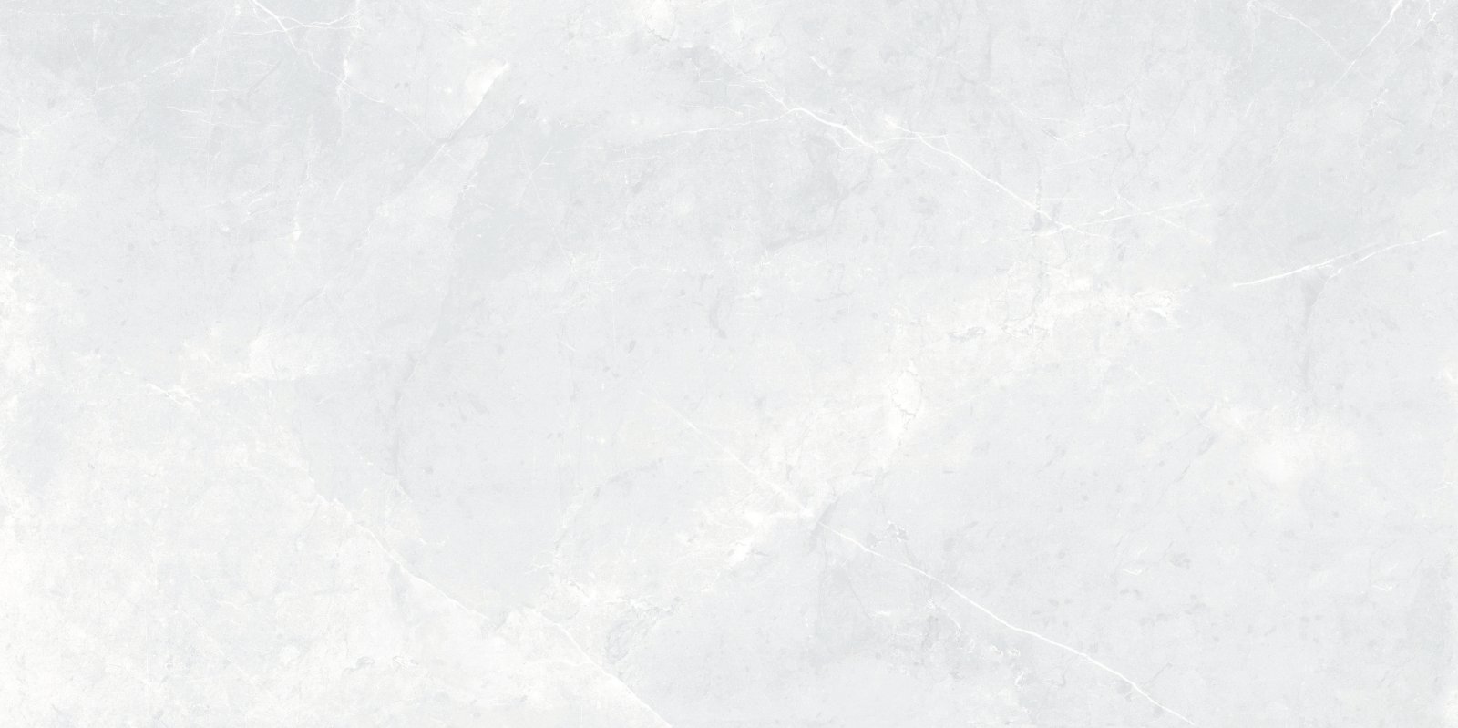 PLATINUM 30X60 DEXA GREY BASIC